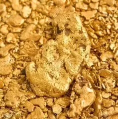Gold Nugget